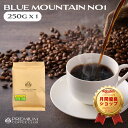 ブルーマウンテン NO1 250g　コーヒー豆 焙煎豆 珈琲の王様 世界三大コーヒー 焙煎工場直送【送料無料 メール便利用】