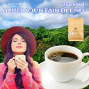 ブルーマウンテン ブレンド 250g ブルマンブレンド コーヒー豆　珈琲豆 ジャマイカ 焙煎工場直送 ポスト投函 お試し 高級珈琲 焙煎したて 焼きたて 鮮度最高 鮮度抜群【送料無料 メール便利用】