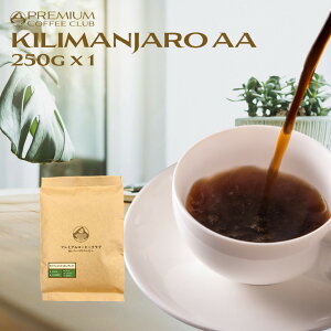 L}W 250gi^UjA AAj100% M[R[q[ 25t R[q[ L} aa   Ă ōNxp H꒼ |Cg