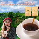 【11/4～ マラソン P10倍】インドネシアマンデリン G-1 180g (90g x 2袋) 最高鮮度 出来立て完全受注焙煎 工場直送 メール便 送料無料 お試し 買い回り ポイント消化