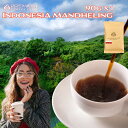 【11/4～ マラソン P10倍】インドネシアマンデリン G-1 90g 最高鮮度 出来立て完全受注焙煎 工場直送 メール便 コーヒー豆 珈琲豆 お試し 買い回り ポイント消化