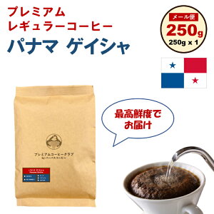 y10/14` }\ |Cg2{zpi} QCV 100 250g 󂯂Ă ōNx H꒼ [   