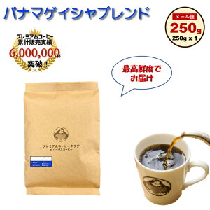 y10/30 |Cg2{zR[q[ pi}QCVuh 250g R[q[@蓤 pi} H꒼ |Xg    Ă Nxō NxQ