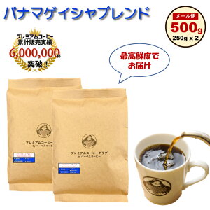 y11/1 |Cg5{zR[q[ pi}QCVuh 500g (250g x 2) R[q[@蓤 pi} H꒼ |Xg    Ă Nxō NxQ