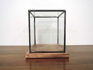 ショーケースの通販 価格比較 価格 Com