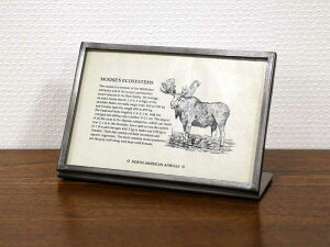 ^t[ C_XgA 10 ACA tHgt[ j[X^h CtH[V   CeA l fUC AeB[N NVbN z AWA