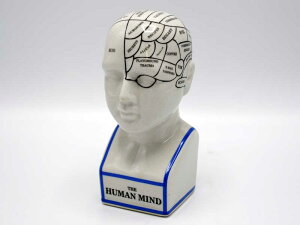 tmW[wbh M ̒u IuWF THE PHRENOLOGY HEAD AeB[N w   l CeA fBXvC NVbN AWA AG