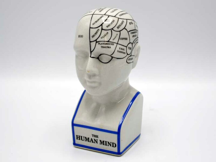 楽天市場】フレノロジーヘッド M 頭の置物 オブジェ THE PHRENOLOGY 