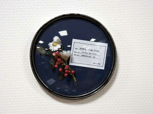 J[u Eh t[ S with hCt[ Vr[ACA Ǌ| fBXvC AeB[N Vv NVbN l JtF Xܗp  AWAG k