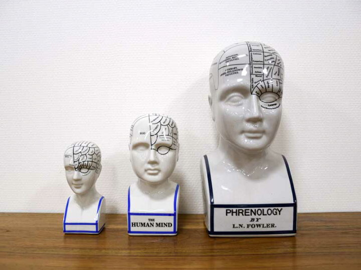 楽天市場】フレノロジーヘッド S 頭の置物 オブジェ THE PHRENOLOGY 