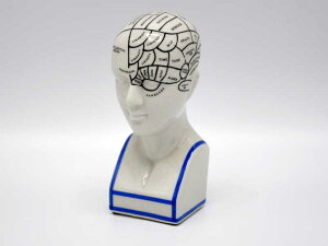 tmW[wbh S ̒u IuWF THE PHRENOLOGY HEAD AeB[N w   l CeA fBXvC NVbN AWA AG