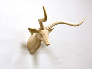 Ebh Aj} wbh Gazelle K[  EH[IuWF Ǐ Ǌ| ؐ C VR IuWF  fR[V CeA i`  JtF X AWAG A