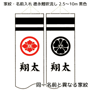 قȂƖƐԂŕЖʂAꖼO𗼖ʂɍFœ 10m`2.5mpyPiwsz îڂZbgƓwĂ