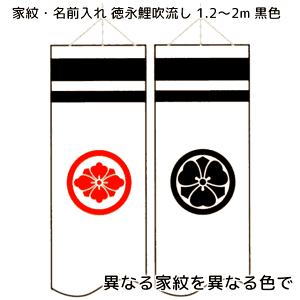 قȂƖFƐԐFŕЖʂ 1.2m`2mpyPiwsz îڂZbgƓwĂ