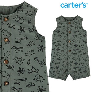 J[^[Y iCarter'sjRbgp[XiO[Aj}j{fBX[c p[X  j̎q