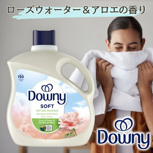ō3,980~ȏ̂グőI _Ej[ lC`[ [YEH[^[&AG _ 3.29L Downy Nature e ʔ RXgR yV