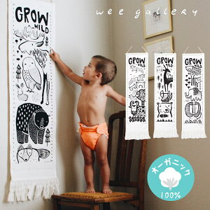 Wee GalleryyEB[M[zI[KjbNRbg gviLbYW[ Ǌ| xr[Mtg oY oYj Ԃ ajj y1204P20z