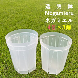 lK~G 4 3Zbg 5Zbg 10Zbg Xbg NEgamieru 󉪉| vX`bN NA  Xbg   ϗtA