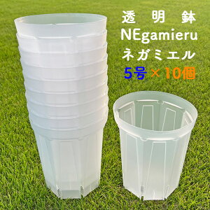 lK~G 5 3Zbg 5Zbg 10Zbg Xbg NEgamieru 󉪉| vX`bN NA  Xbg   ϗtA