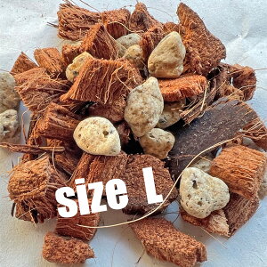 ˂`bv 2bg RR`bv y y A傫 lReCg ypy nMO ϗtA lK~G RRnXN RRnXN`bv