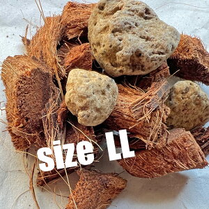 ねこチップ 5リットル ココチップ 日向土 軽石 植物が大きく育つ ネコテイト 軽い用土 ハンギング 観葉植物 ネガミエル ネコチップ ココハスク ココハスクチップ