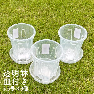 3.5 NA|bg Mt 3Zbg Aؔ ̐ NA  vX`bN Xbg  ʋC ϗtA