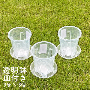 3 NA|bg Mt 3Zbg Aؔ ̐ NA  vX`bN Xbg  ʋC ϗtA