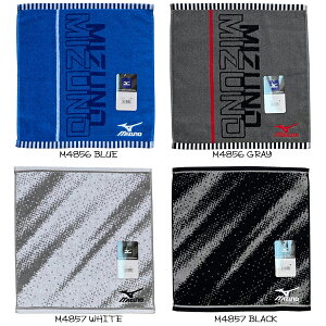 Mizuno EHbV^I M4856 u[ 34×35cm