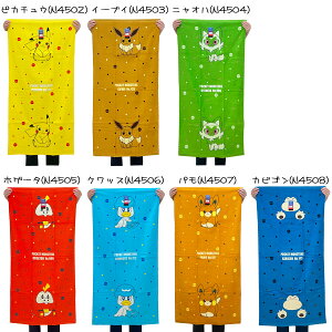 |P oX^I XJ[bg oCIbg |PSV 60×120cm |PbgX^[ LN^[  ^I