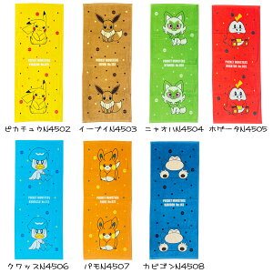 |PSV tFCX^I XJ[bg oCIbg 34×80cm |PbgX^[ LN^[  ^I