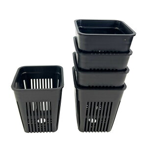 }WJ|bg75 5Zbg  ubN S Xbg bV XNGA  A ^ϗt AKx