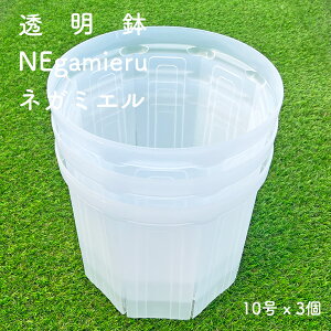 �l�K�~�G�� 10���� 3�Z�b�g NEgamieru �󉪉��| ���� �X���b�g�� �v���X�`�b�N �N���A ������ ���������� �� ��^ �ϗt�A��