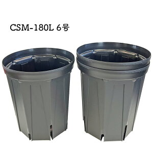 ���X���b�g�� 6�������O 3���Z�b�g CSM-180L ����Y�� �u���b�N �X���b�g�����O�� �v���X�`�b�N �ϗt�A��