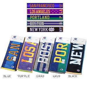 `sI }t[^I iCebh Champion O tFCX^I X|[c[J[ uh ^IMtg   ^I