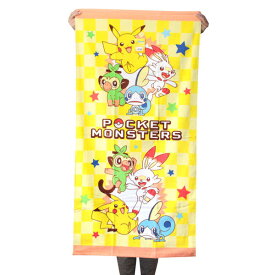 コンプリート 赤外線 ミル ポケモン タオルケット Precious Warabi Jp