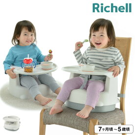 リッチェル(Richell) 2WAYごきげんチェアKN ホワイト 抗菌加工 ロー チェア テーブル付き ベビーチェア 子供 幼児 7ケ月