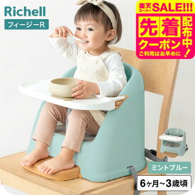 リッチェル ベビーチェア フィージー R Richell テーブルチェア ベビー ブースターチェア ローチェア テーブル付き 椅子 6ケ月 赤ちゃん 子供 ローチェア 乳児用 イス 赤ちゃん 6カ月〜3才頃 ベビー用品 食事