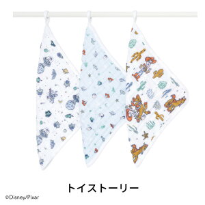 GCfAhAlC fBYj[ EHbVNX 3Zbg / aden+anais oYj Mtg v[g _uK[[ 킢 nJ` g gws xr[pi