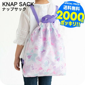 2000~|bL hZ̏ォ ̑ ibvTbN qǂp }`܂ލ40cm×36cm  /  |GXe ʊw  w  w В bN^Cv obO A4  