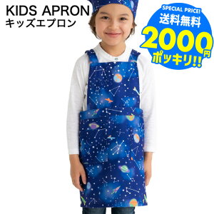 2000~|bL Ԃ邾 Gv qp MTCY100`120cm LTCY120`140cm  / ǂ wZ w K |GXe100 xr[pi ApN[|Ώ