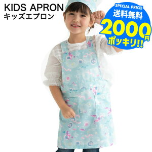 2000~|bL Ԃ邾 Gv qp MTCY100`120cm LTCY120`140cm  / ǂ wZ w K |GXe100 xr[pi ApN[|Ώ