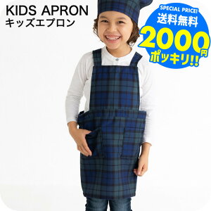 2000~|bL Ԃ邾 Gv qp MTCY100`120cm LTCY120`140cm  / ǂ wZ w K |GXe100 xr[pi ApN[|Ώ