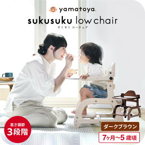 yamatoyaFX a [`FA3 xr[`FA [ ( 7`5ˍ ) `FA Ԃ ֎q Z[teBxg [`FA e[ut u  XNXN[`F