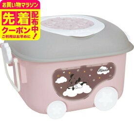 マラソン限定先着クーポン有！ディズニー 窓付きおもちゃ箱 収納 かわいい キッズ 子供 ギフト お祝い 内祝い プレゼント 贈り物 お返し 結婚内祝い JGS ベビー用品