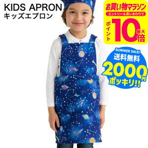 2000~|bL Ԃ邾 Gv qp MTCY100`120cm LTCY120`140cm  / ǂ wZ w K |GXe100 xr[pi ApN[|Ώ