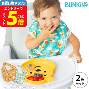 oLX BUMKiNS X[p[ru2pbN Winnie The Pooh(balloons) / fBYj[ v[ HGv H @\ h ȒP xr[pi 251004