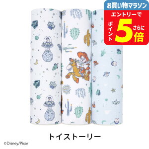 GCfAhAlC fBYj[ ݃Xh 3Zbg / aden+anais oYj Mtg v[g RbgX 킢 唻 uPbg g xr[pi