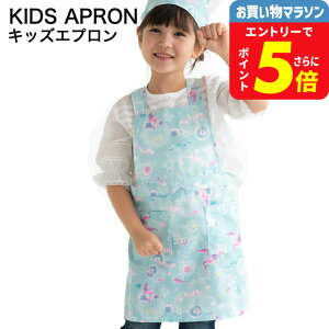 2000~|bL Ԃ邾 Gv qp MTCY100`120cm LTCY120`140cm  / ǂ wZ w K |GXe100 xr[pi ApN[|Ώ