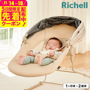 b`F(Richell) xr[bN QbN X[ ij / 124i13kgj܂ gp\ Q oET[ RpNg bVې E̎Ւf N