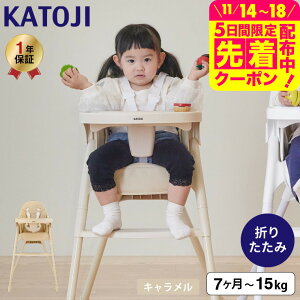 KATOJI Jg[W xr[`FA [X 5_V[gxg e[u V[gNbVt / y RpNg nC`FA ֎q ܂肽݉\ e[ut 7J`̏d15kg܂ xr[pi 2510sale